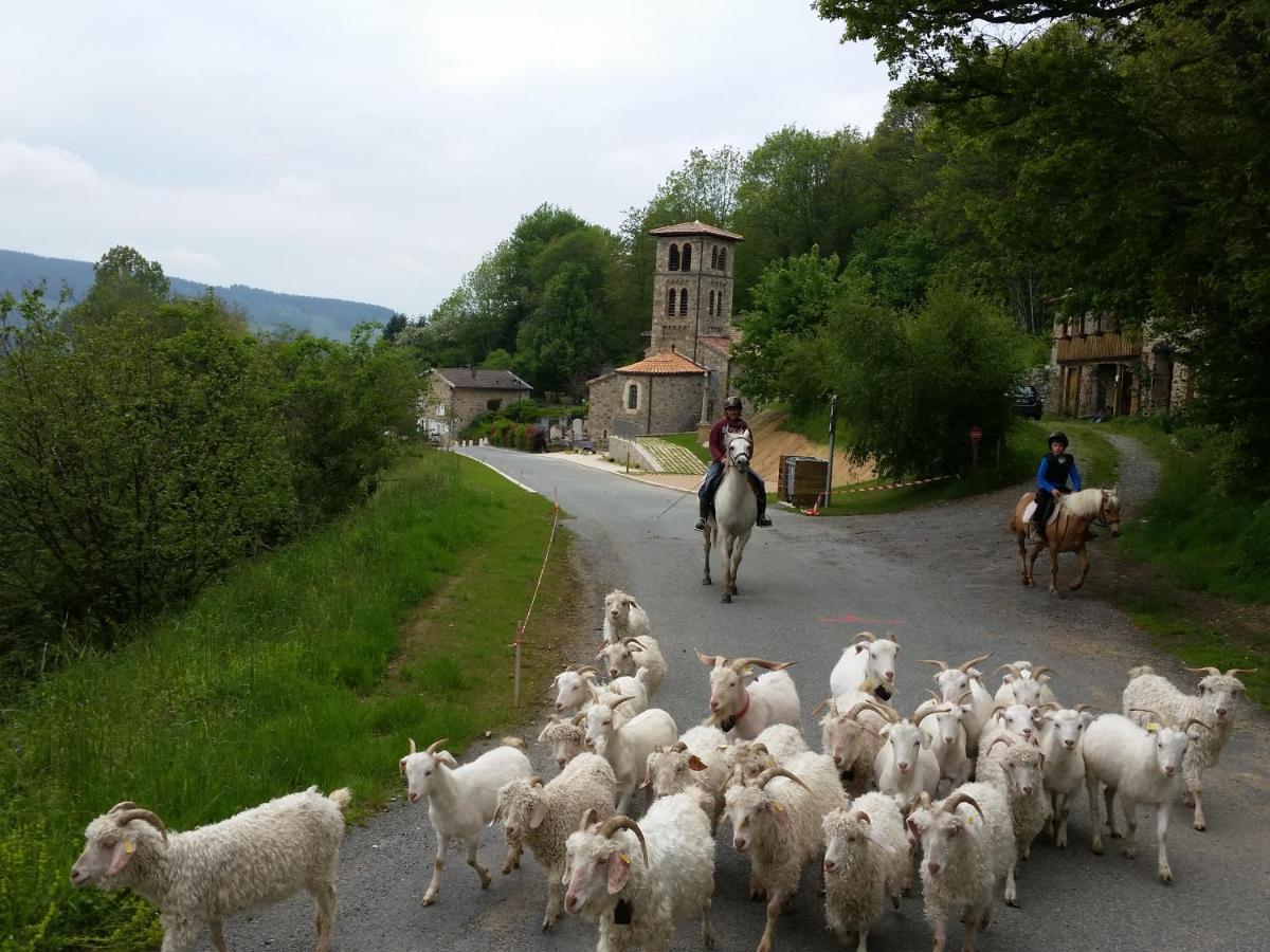 Le Colombier D'Amalthee Villa Vernay Exteriör bild